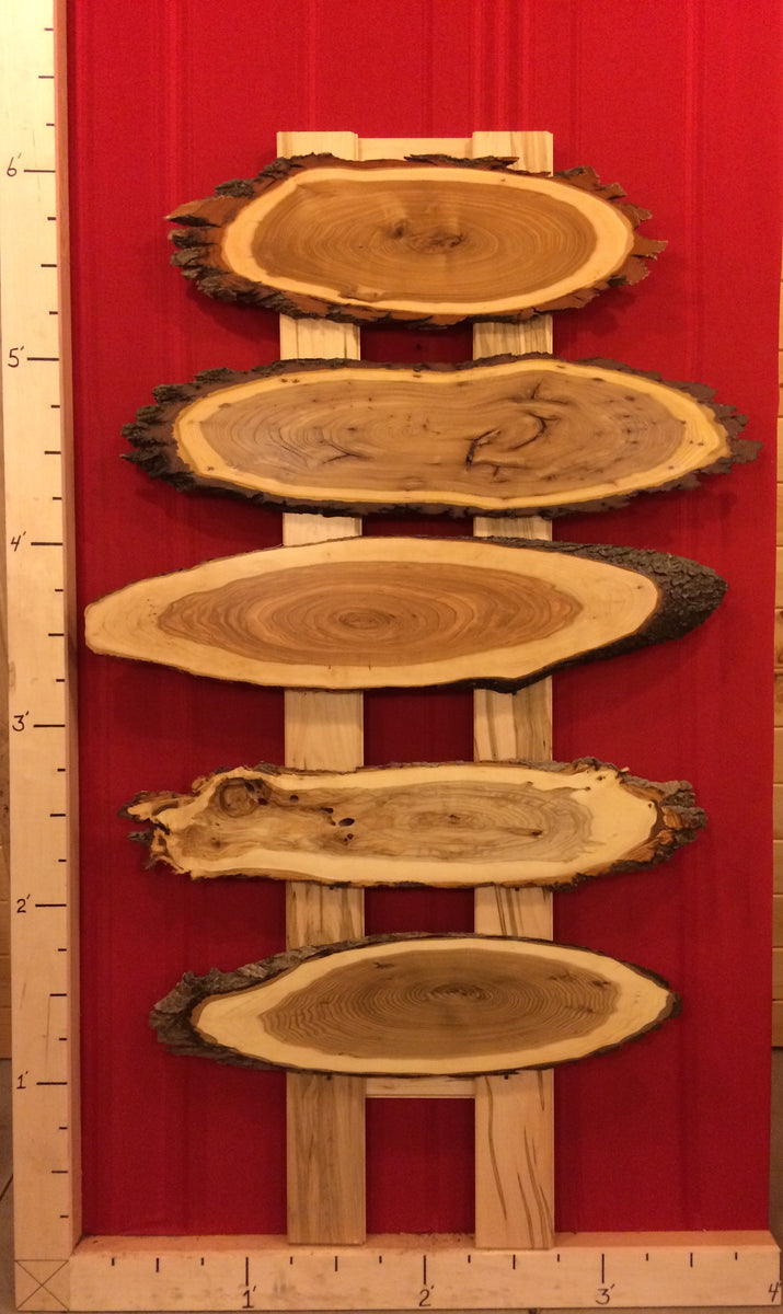 Natural Wood Slices with Bark, Sanded Ellipse Tree Slice for Arts