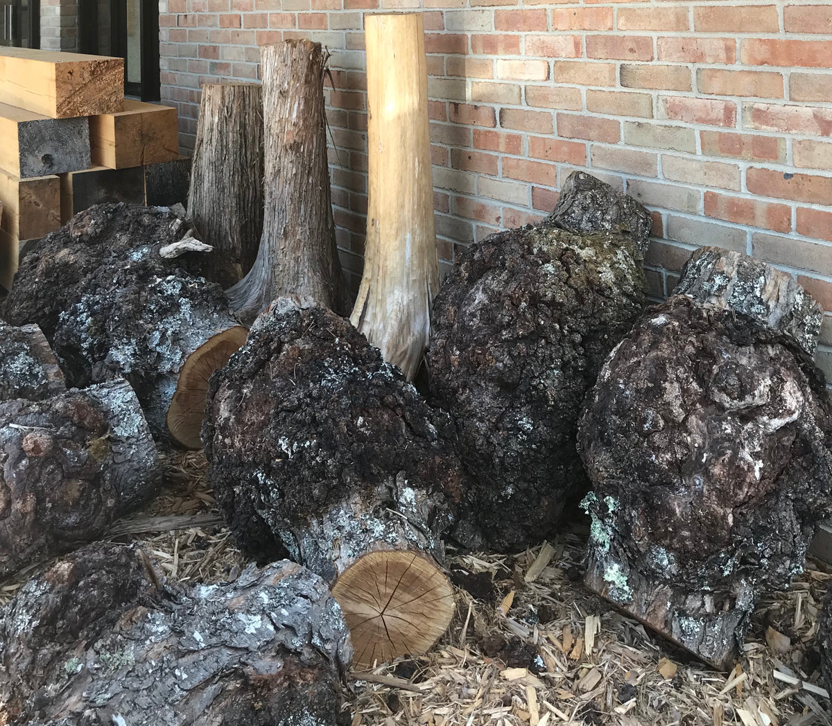 Burls - Wood Turning Burls – Janish Woodworks