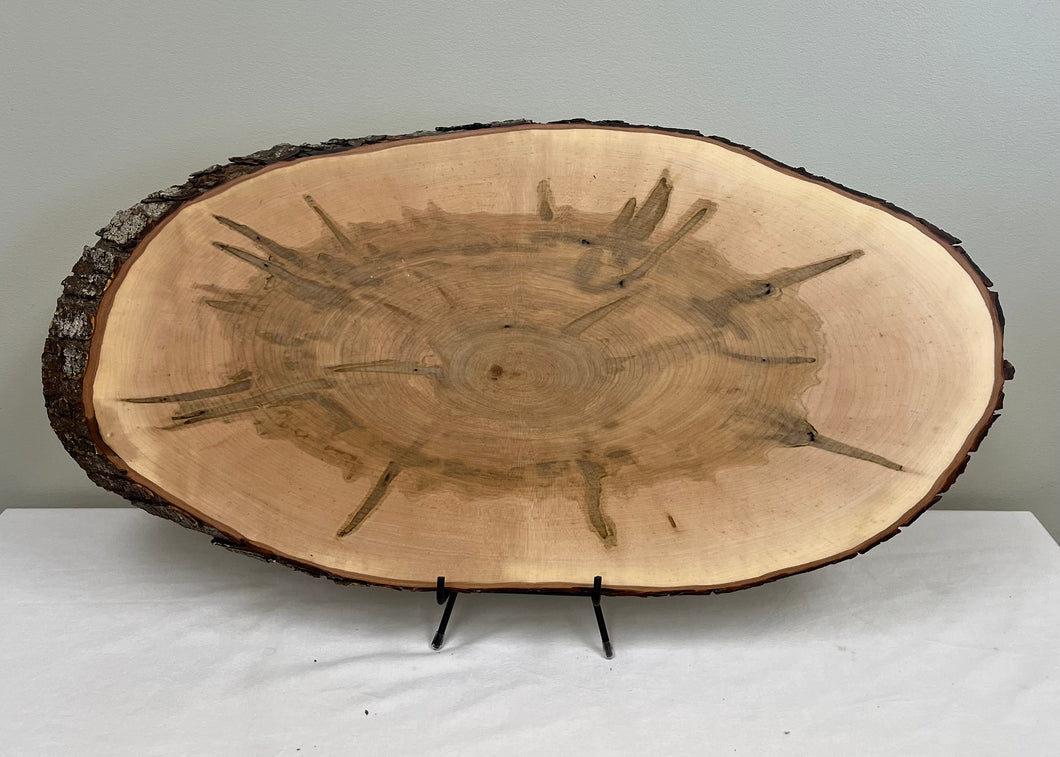Wormy Maple Finished Plaque - Bark on Wood Slice