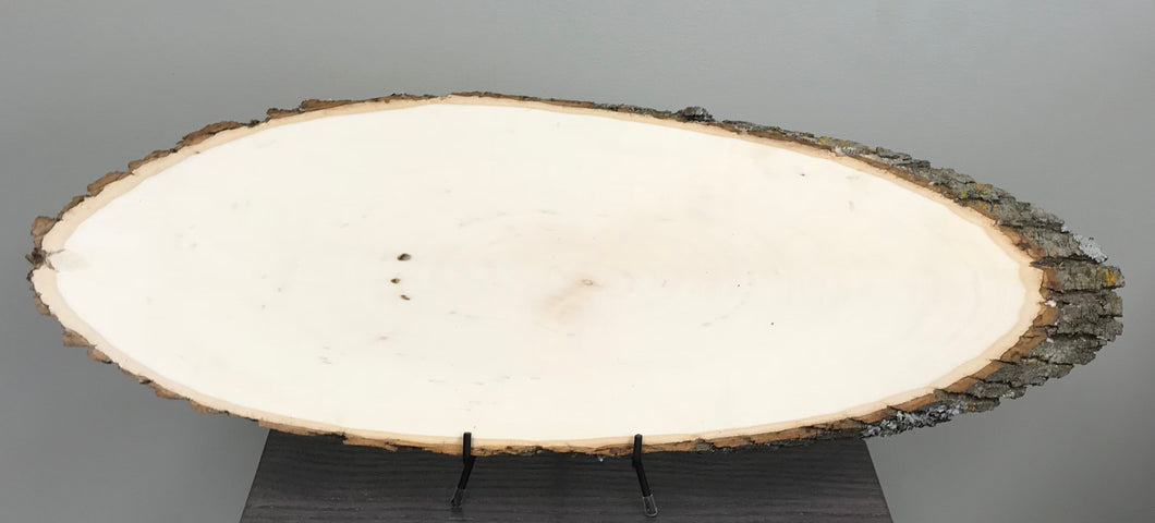 Basswood Bark On Sanded Oval Wood Plaque - Medium - Wood Slice - Rustic Wood Slice - Wood Burning Slice - Craft Wood Slice