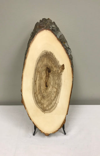 Natural Wood Slices with Bark, Sanded Ellipse Tree Slice for Arts Wooden  Platter, Tree Trunk Slices - China Small Bamboo Serving Platter and Tree  Bark Server Board price